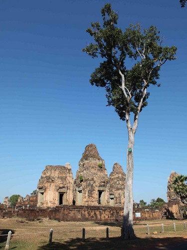 Photo : Lettre d�info N�5 : les douces journ�es d�Angkor
